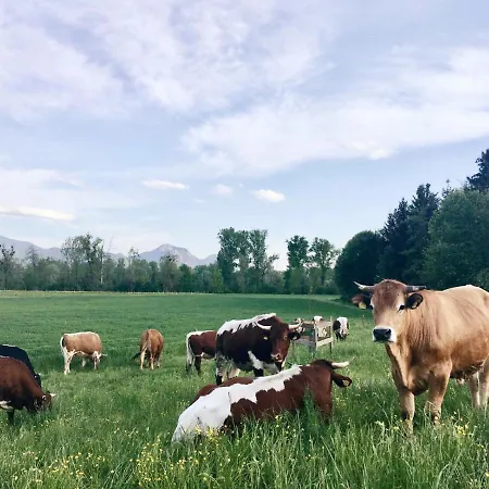 Entspannung Am Seltenhof