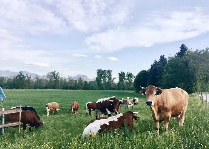 Entspannung Am Seltenhof